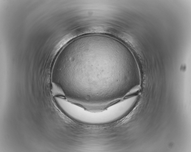 X0000093611081200711051214