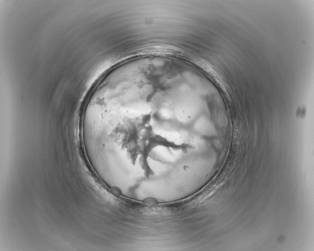 X0000093611083200711051214