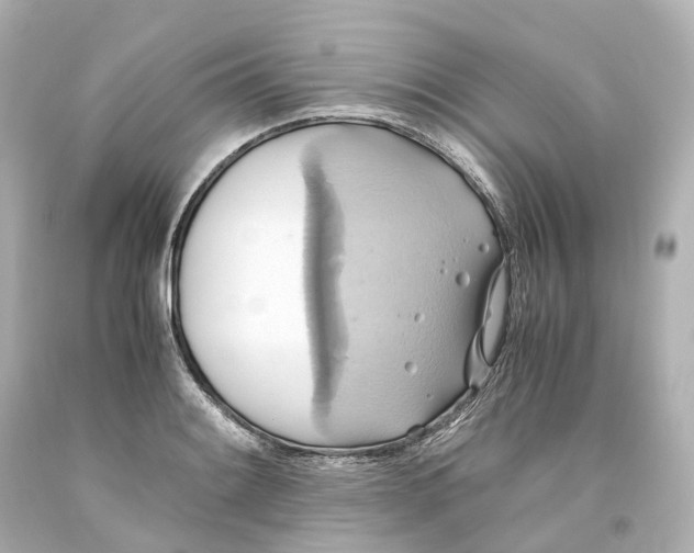 X0000093611084200711051214