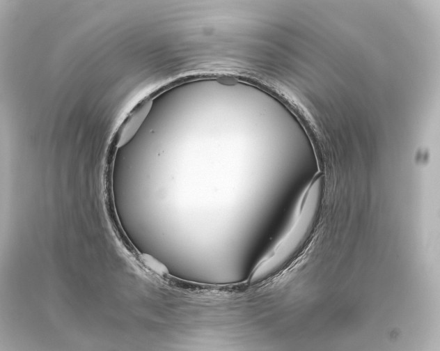 X0000093611085200711051214