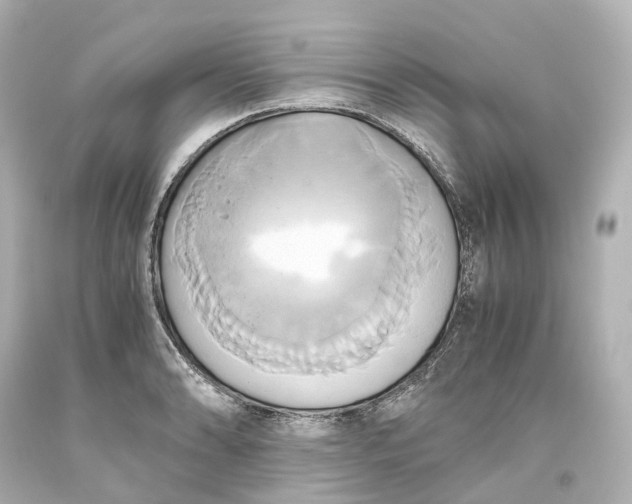 X0000093611086200711051214