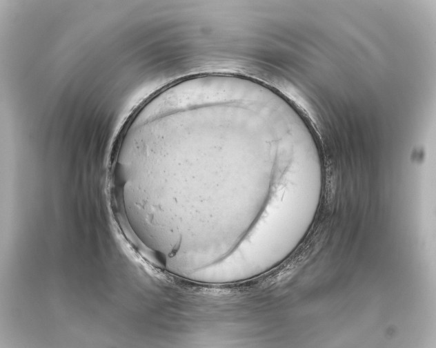 X0000093611088200711051214
