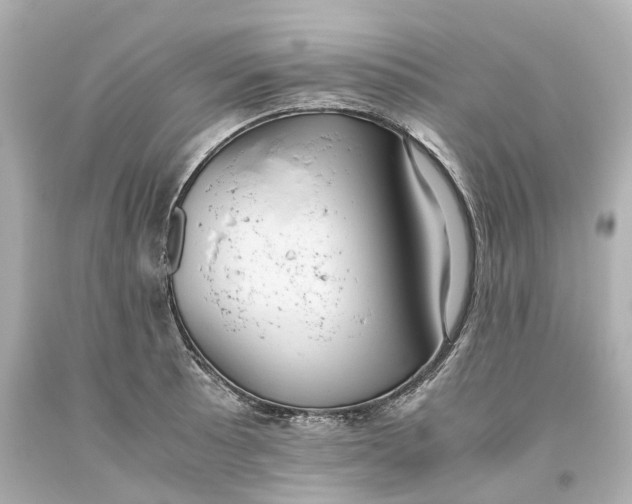 X0000093611089200711051214