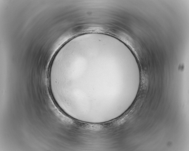 X0000093611090200711051214