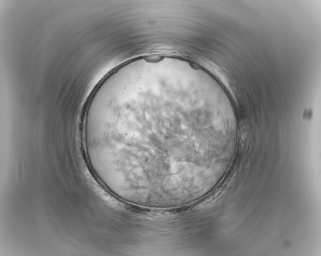 X0000093611091200711051214