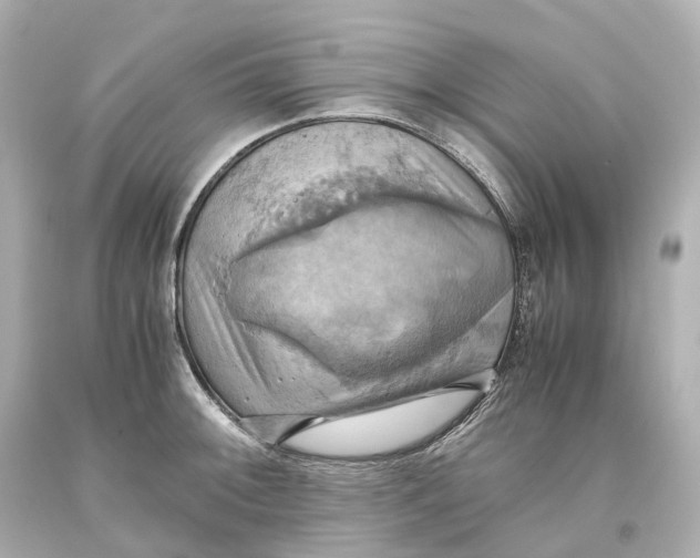 X0000093611092200711051214