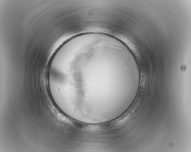 X0000093611094200711051214