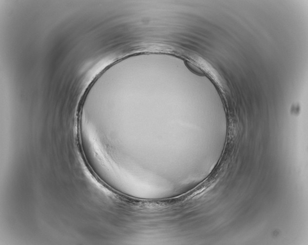 X0000093611095200711051214