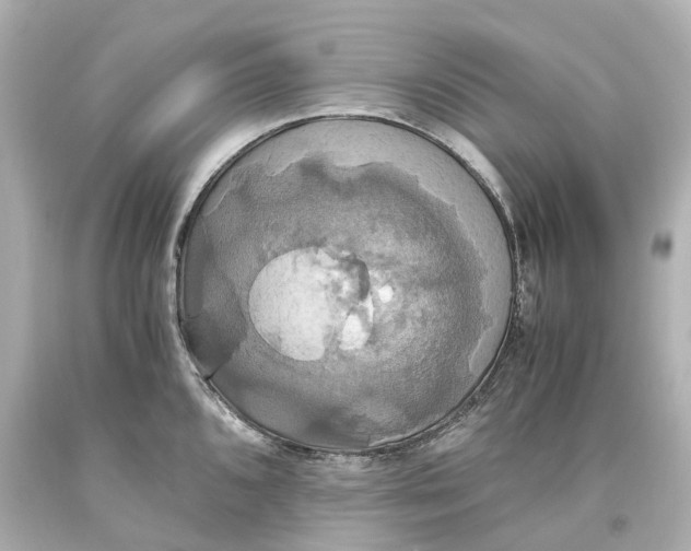 X0000093611096200711051214