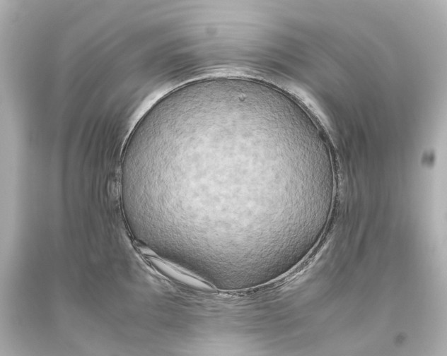 X0000093611097200711051214
