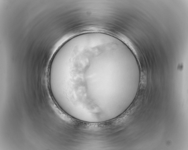 X0000093611098200711051214