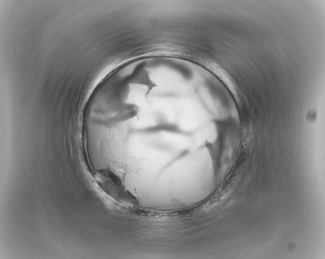 X0000093611099200711051214