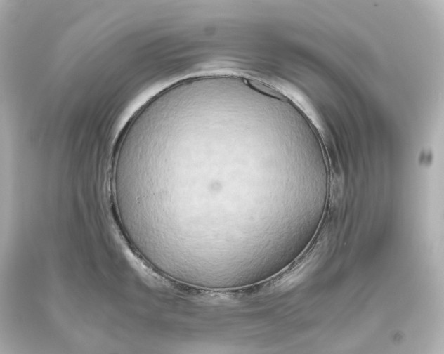 X0000093611101200711051214