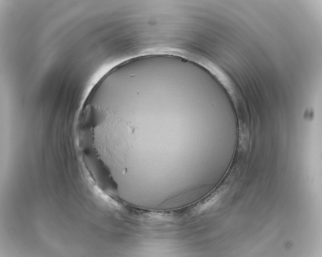 X0000093611102200711051214