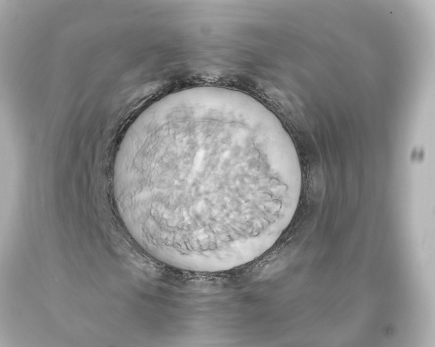 X0000093611105200711051213