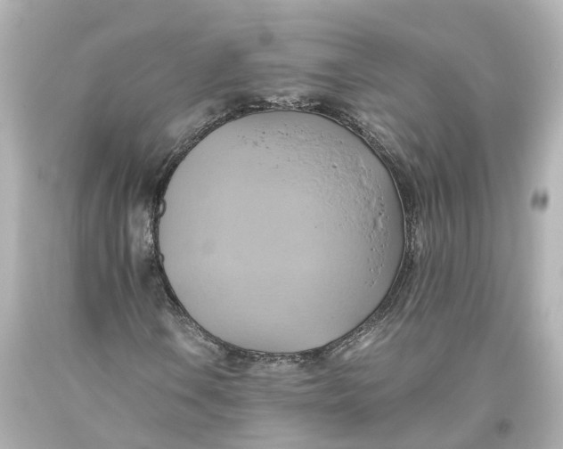 X0000093611106200711051213