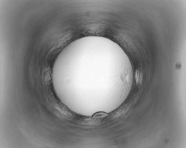 X0000093611107200711051213