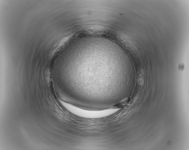 X0000093611108200711051213