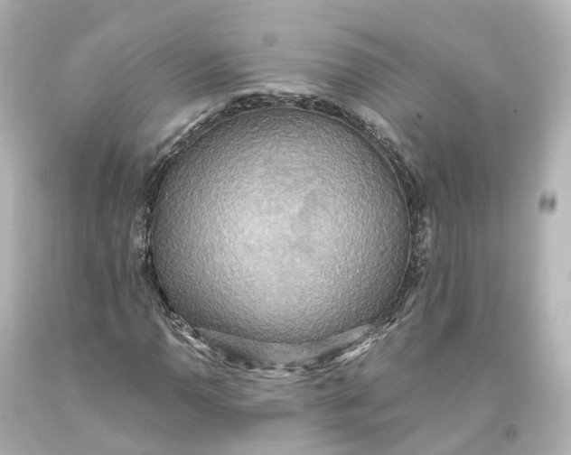 X0000093611110200711051213