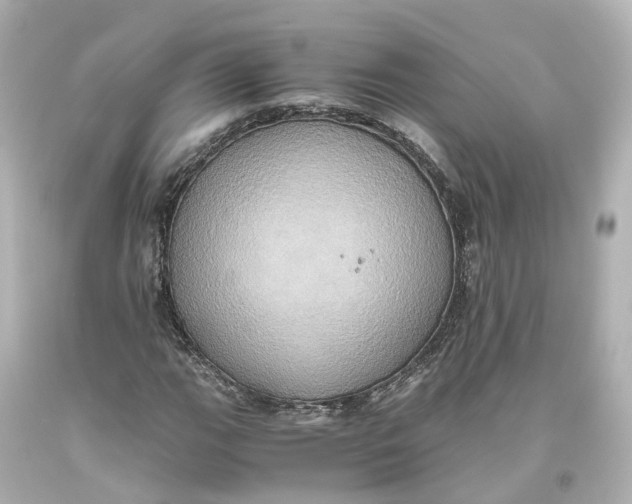 X0000093611111200711051213