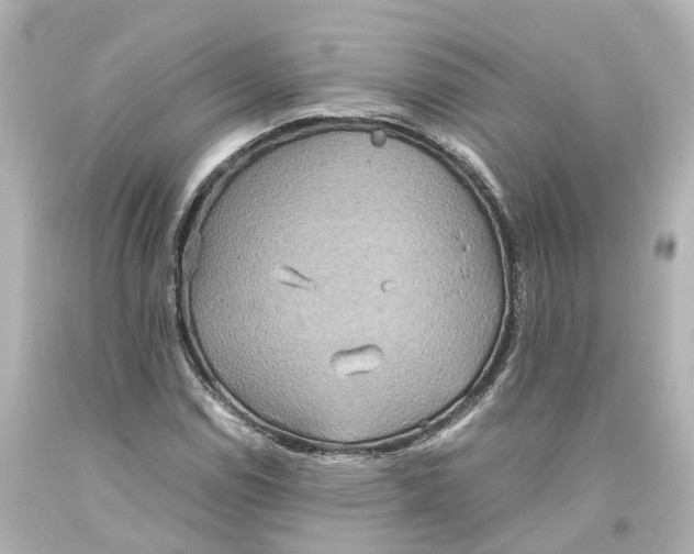 X0000093611114200711051213