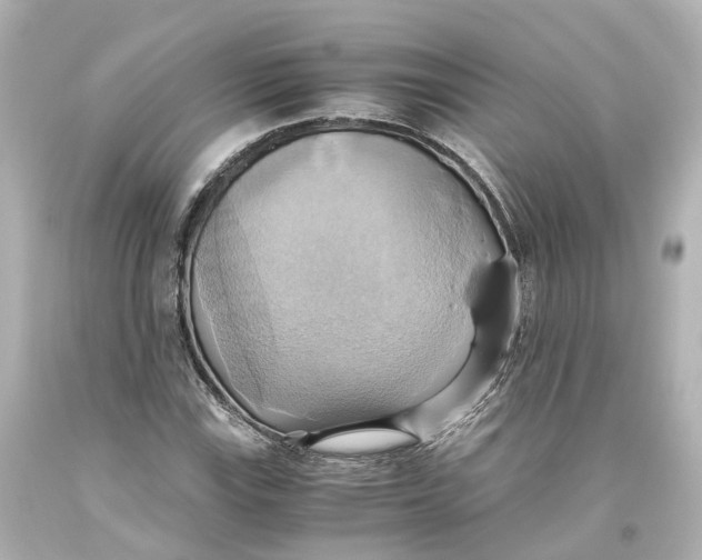 X0000093611115200711051213