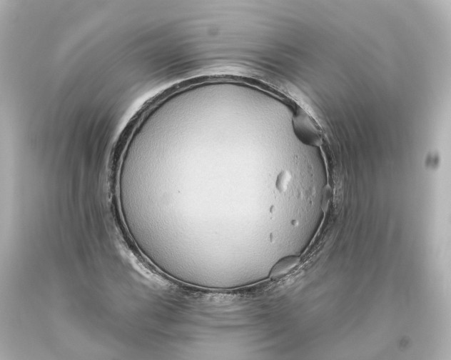 X0000093611116200711051213