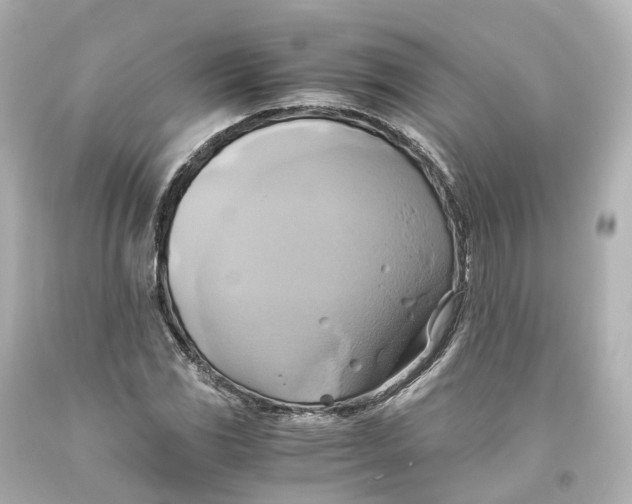 X0000093611117200711051213