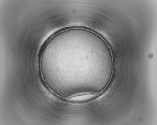 X0000093611118200711051213