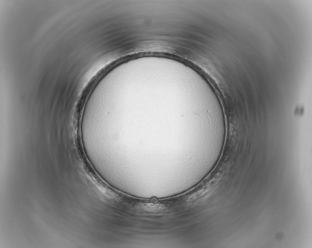 X0000093611119200711051214