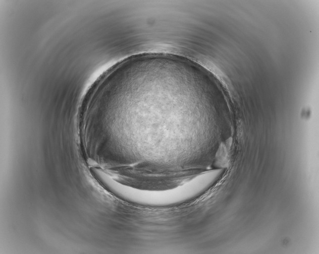 X0000093611120200711051214