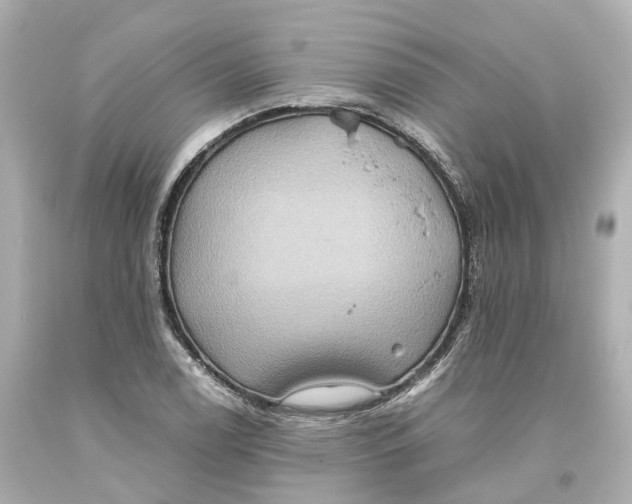 X0000093611122200711051214
