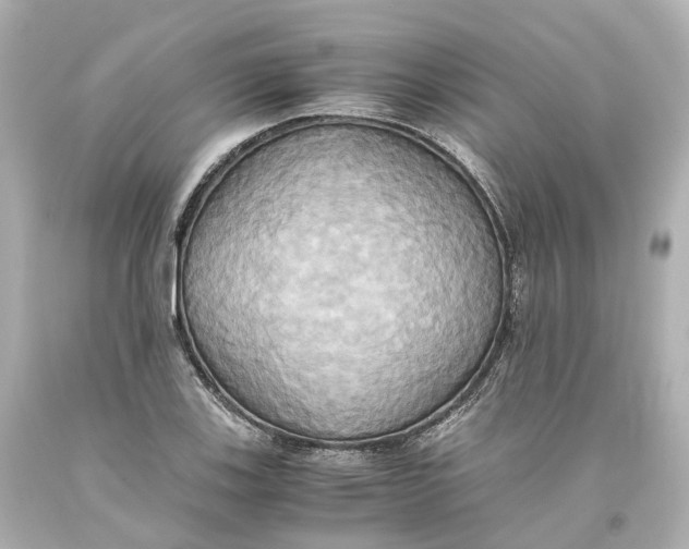 X0000093611123200711051214
