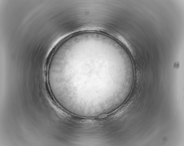 X0000093611124200711051214