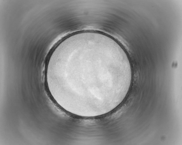 X0000093611126200711051214