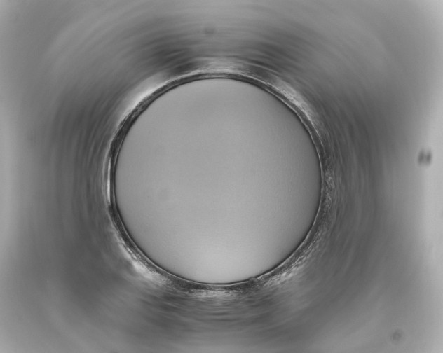 X0000093611127200711051214
