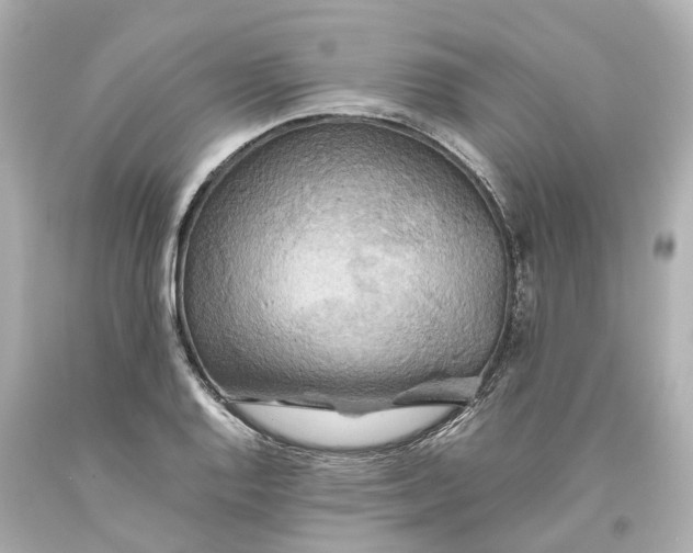 X0000093611128200711051214
