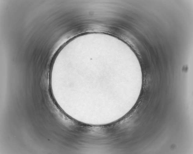 X0000093611130200711051214