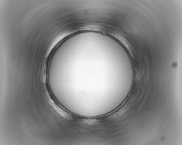 X0000093611131200711051214