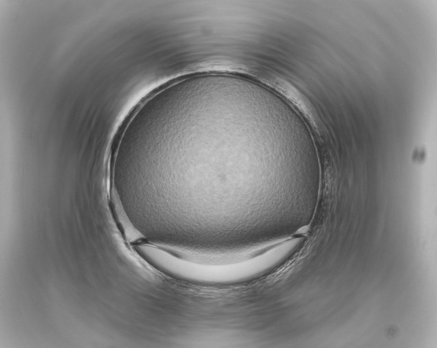 X0000093611132200711051214