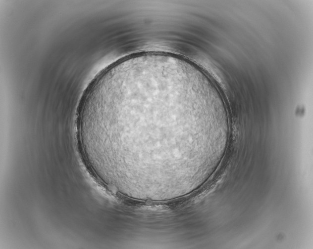 X0000093611133200711051214