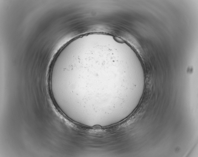 X0000093611135200711051214
