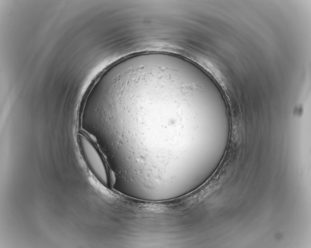 X0000093611136200711051214