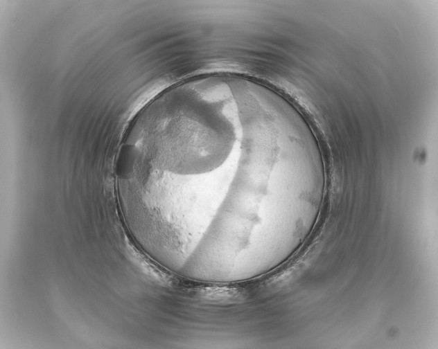 X0000093611137200711051214