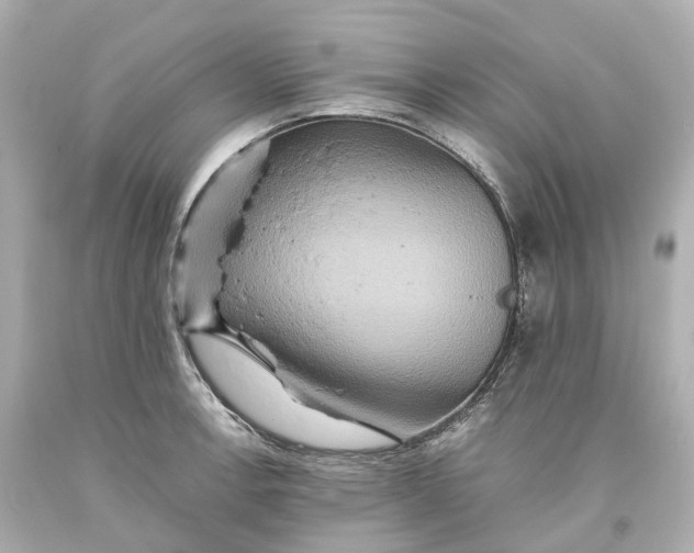 X0000093611138200711051214