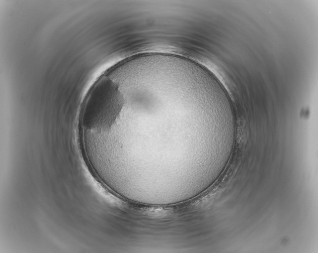 X0000093611139200711051214