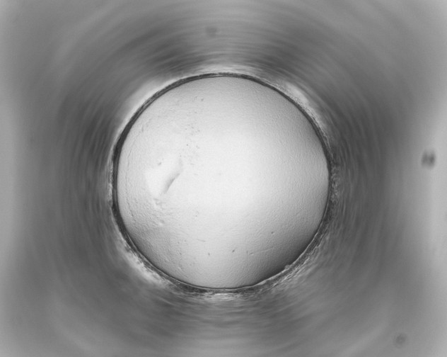 X0000093611140200711051214