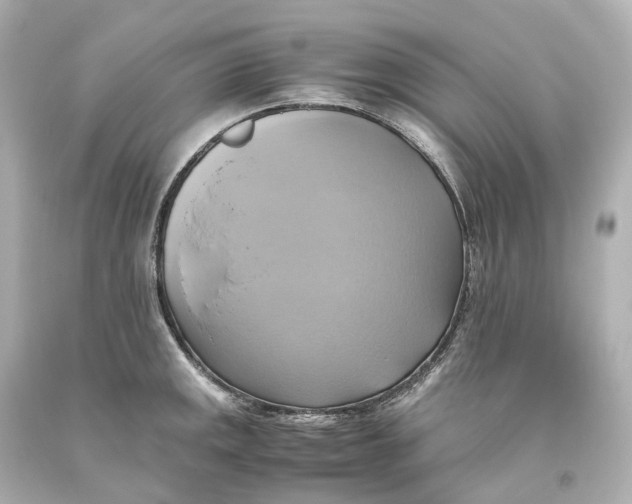 X0000093611141200711051214