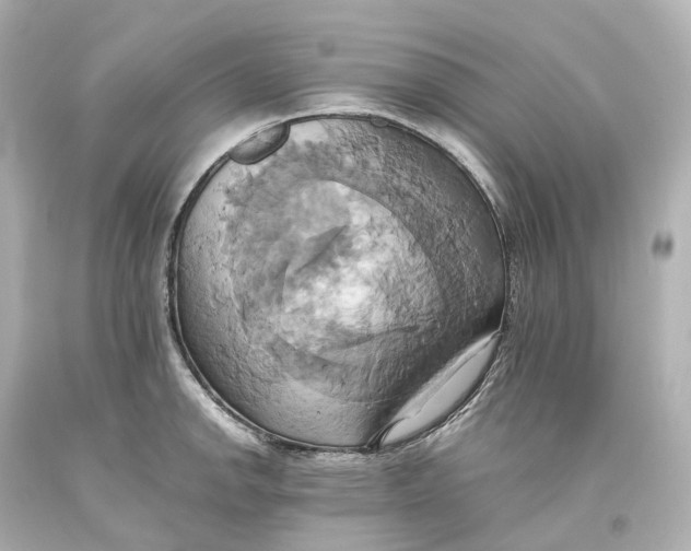 X0000093611142200711051214