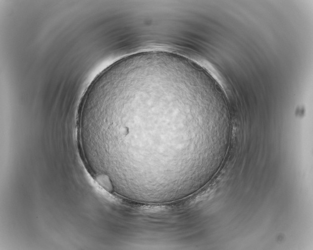 X0000093611143200711051214